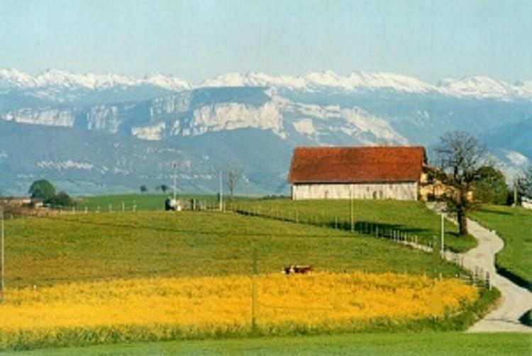 Gite La Grange Du Haut Saint-Antoine (Isere) Exterior foto