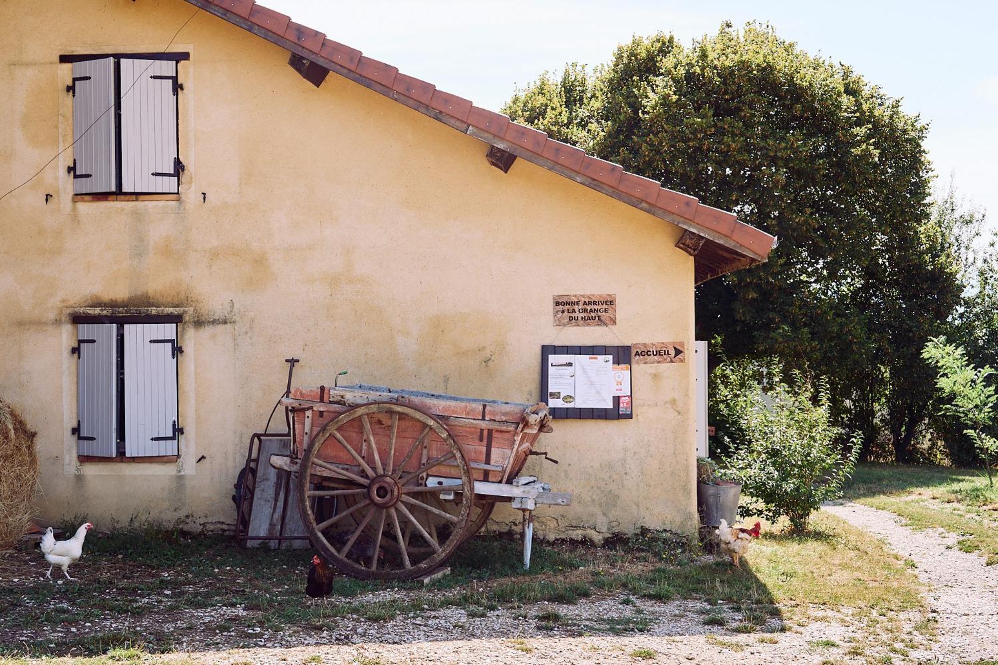 Gite La Grange Du Haut Saint-Antoine (Isere) Exterior foto