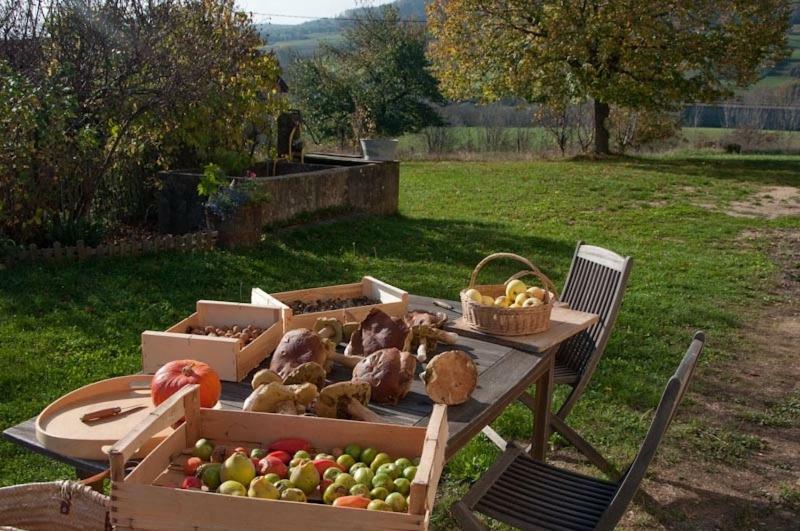 Gite La Grange Du Haut Saint-Antoine (Isere) Exterior foto